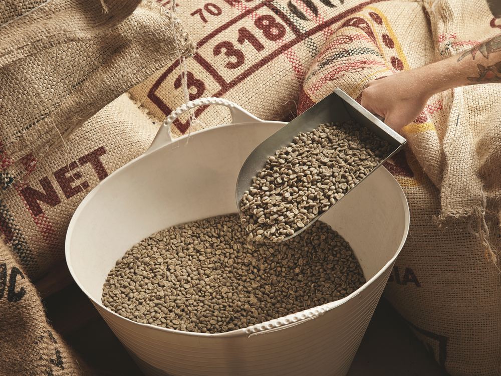 Bulk commodity being scooped from jute sacks into a tub